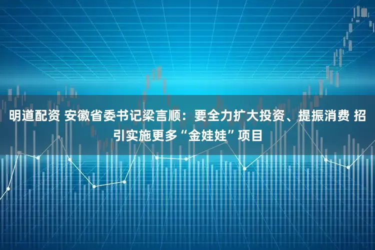 明道配资 安徽省委书记梁言顺：要全力扩大投资、提振消费 招引实施更多“金娃娃”项目