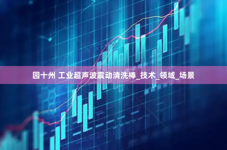 园十州 工业超声波震动清洗棒_技术_领域_场景